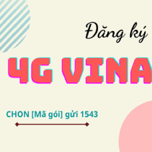 dangky4gvina