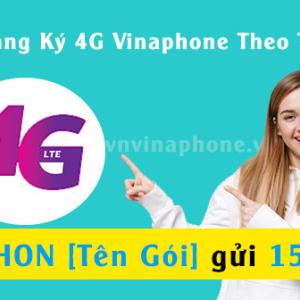 dang-ky-4g-vina