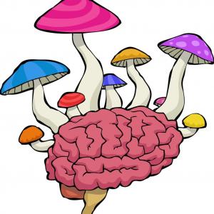 Buy lsd online