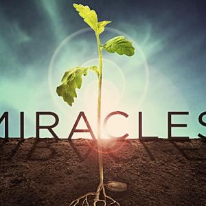 acim lesson 1