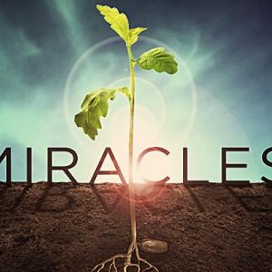 course in miracles bookstore