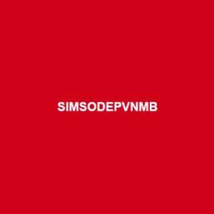 Sim Số Đẹp Giá Rẻ tại SimSoDepVNMB