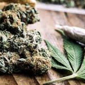 buy weed Canada