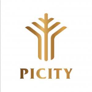 Picity Sky Park